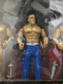 FlexForce WWE Wrestling Ring Action Figures Toy For Kids Action Hero Character. 