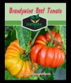 Brandywine Beef Tomato summer Vegatbles seeds 35 Plus seeds. 