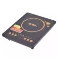 "Boma 1800W Portable Induction Cooker: Fast & Precise Cooking". 