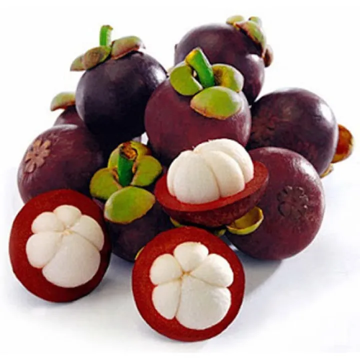 Mangosteen%20fruit%20plant%20mangus%20pala.%20-%20Image%202