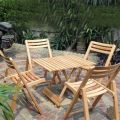 Dining Table With Chairs ( Convertable To Study Table And PC Table ). 