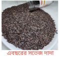 Tokma Dana Basil Seeds Pure 1kg. 