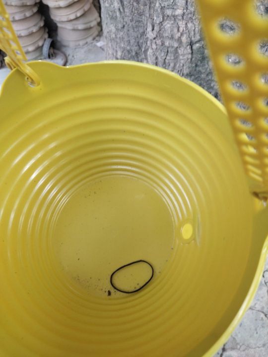 Hanging%20Bucket%20-%20Image%205