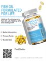 Glucosamine Chondroitin MSM Turmeric Boswellia - Joint Support Supplement for Joint Health and Joint Function Support. 