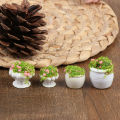 1/2Pcs Dollhouse Furniture 1:12 Accessories Mini Green Plant Bonsai Flower Pots. 