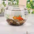 Round Transparent Crystal Glass Bowl Clear Sphere Vase Fish Tank. 