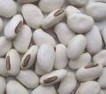 Tukhme Konch | Konch seeds | Velvet Bean | Konj Safaid | 100gm. 