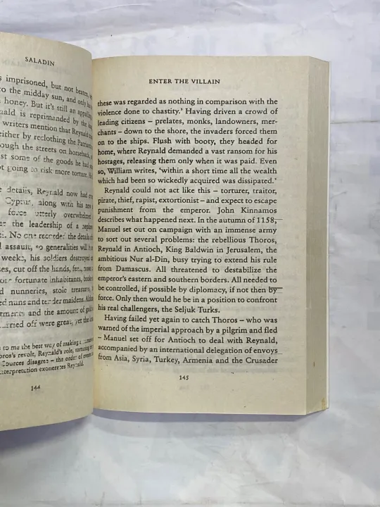 SALADIN%20BY%20JOHN%20MAN%20-%20Image%203