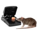Mouse Trap "2 Powerful 💪 Trap". 