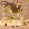Set Of 8 Mini Bottles With Light And Without Money Plants Hanging Small Glass Bud Vase , Decorative Hanging Glass Plants Vases, Small Hanging Vases, Home Decor, Housewarming Gift. 