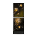 Whirlpool Fresh Magic Pro 257L Glow Refrigerator with Free Delivery. 