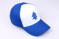Cartoon Pines Hats Gravity Falls Dipper Baseball Caps Cosplay Accessories Hat Canvas Adjustable Boys Cotton Pine Cap .