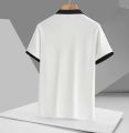 Stylish Premium Quality Summer Polo Shirt for Men - Classic Design Suitable for All Seasons. 