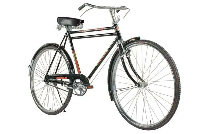 Sohrab%20standard%20bicycle%20for%20Adults%20-%20Image%202