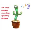 Mimicry toy dancing Cactus toys. 