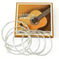 Miwayer 1Set CG01/AG01/EG01 Guitar Strings - Classical/Acoustic/Electric, Nylon/Steel/Nickel Wound, 6pcs/Set, Beginner friendly. 