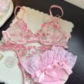 Women's French Embroidered Lace Set Sensual Mesh Bra Set & Brief Soft Underwire Unpadded Bralette Deep V Plunge Elegant Lingerie.