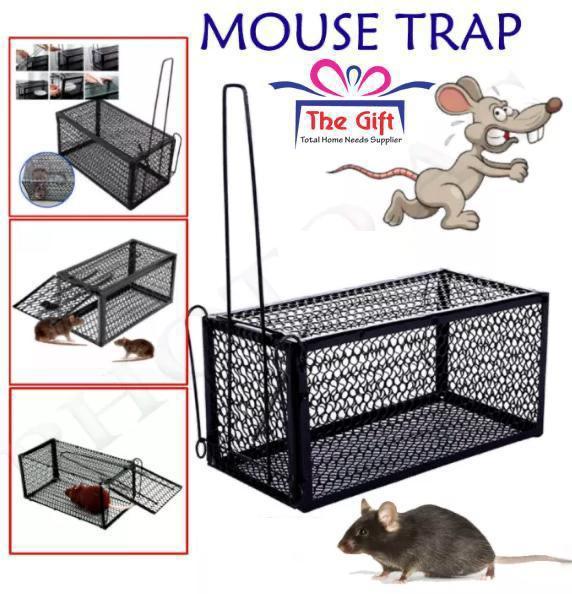 mouse trap