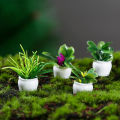 4Pcs Mini Flower Potted For Green Plant Simulation Plants Dollhouse Miniature Doll House Furniture Home Decoration. 