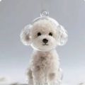 Dog Hair Storage Box Puppy Hair Memorial Keepsake Capsule Pet's Dog/Cat Fur Container Transparent Capsule Keychain Souvenirs. 