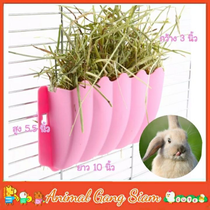 Plastic rabbit grass rack | Shop.com.mm