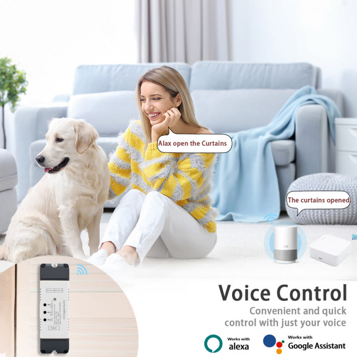2%20Channel%20Zigbee%20Tuya%20Smart%20Switch%20Relay%20Module%20DC12V%2024V%20220V%20Automatic%20Controller%20Dry%20Contact%20Receiver%20for%20Light%20Motor%20Garage%20-%20Image%206