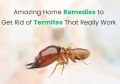 Termite Treatment / Anti Termite Works Per Square Feet. 