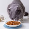 Me-O Beef and Vegetable Cat Dry Food 1.2Kg. 