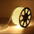 Warm White Flexible Rope Led Strip light Water Proof and multiple sizes to choose for indoor and outdoor use long life bulbs rope lights. 