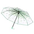 Transparent Umbrella for Women Foldable Daisy Design Windproof Rainproof Portable Cute Flower PVC Umbrella for Girls. 