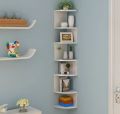 wall mounted shelf ,wall mounted corner ,storage shelf. 