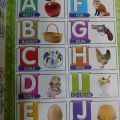 All in one children Pre Learning Book -Basic Learning books for Toddlers. 