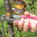 Grafting Cutting Tool Shears For Garden Ring Shape Grafting Cutter Fruit Tree Peeler Bark Stripping Cutting Stainless Steel Gard. 