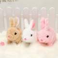 Walking Plush Rabbit with Music | Soft Toy Bunny for Kids | Musical Walking Rabbit Toy. 