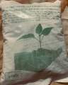 Tricoderma Powder 1KG. 