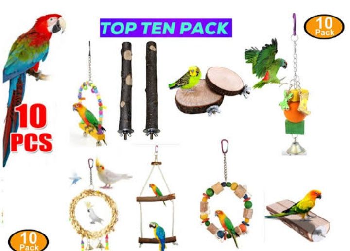 View of Amazon.com: Macaw Toys