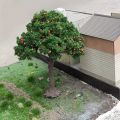 1pc Realistic Fruit Tree Decor, Miniature Sand Table Building Model Decoration, DIY Fruit Trees Miniature Landscape Decoration. 