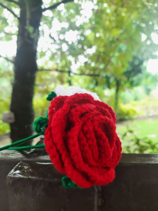 large size single crochet rose