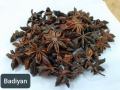 Star anise | Badiyaan Phool | Biryani k Phool | 50 gm | 100 gm | 250 |. 