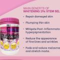 DSM PHYTO COLLAGEN KING OF WHITENING Phyto Booster Advanced Collagen 19x Stm Cell For Skin Lightening, Whitening, Glowing, and Anti-Aging. 