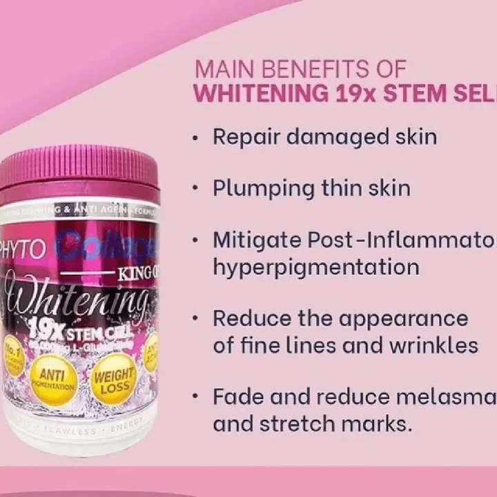 DSM%20PHYTO%20COLLAGEN%20KING%20OF%20WHITENING%20Phyto%20Booster%20Advanced%20Collagen%2019x%20Stm%20Cell%20For%20Skin%20Lightening,%20Whitening,%20Glowing,%20and%20Anti-Aging%20-%20Image%202