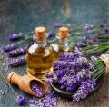 Lavender Essential Oil at ( 25 ml ) / Lavender Oil in Varanasi ....