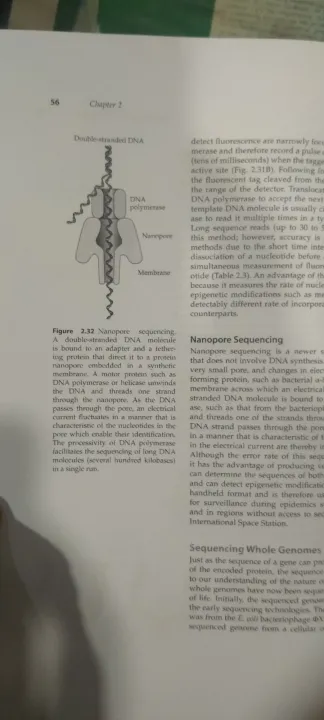 Molecular%20Biotechnology%20principles%20and%20applications%20of%20Recombinant%20DNA%20-%20Image%202