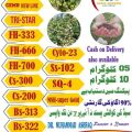 Cotton Seed FH Tri-star, Triple gene, high potential,suitable for tunnel. 