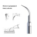5PCS Dental Scaler Tips Fit EMS Woodpecker Ultrasonic Scaler Handpiece Dental Ultrasonic Scaler Scaling Tip.