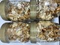 golden foil flakes. 
