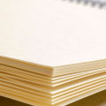 20 Sheets Premium Pastel Paper Blank Paper 112lbs/240g Sketchbook for Oil Pastels Crayons Mixed Medium Heavyweight Drawing Paper.