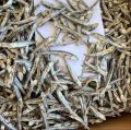 Dried Sprats Halmasso 1kg (හාල්මැස්සෝ) 1kg. 