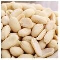 Unroasted Peanuts Plain Dana Raw Peanuts 1Kg. 