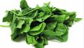 পুইশাক বীজ / 08 gm Puisak Seed All Season Hybrid (500pcs+ Seed).
